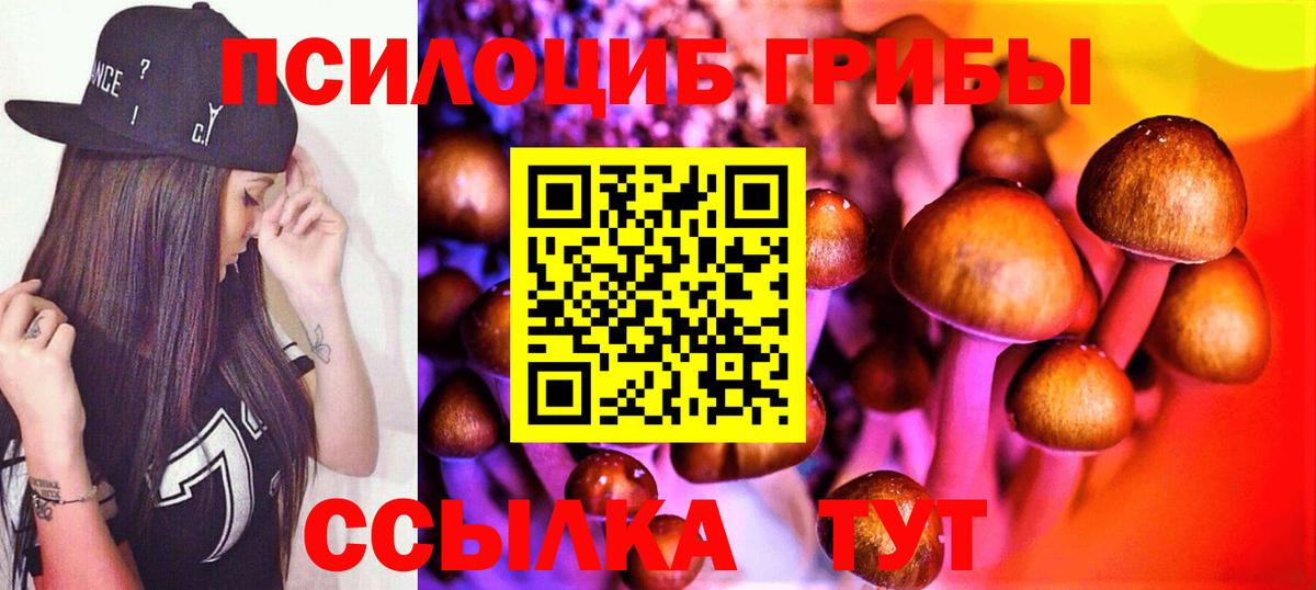 Котовск  Галлюциногенные грибы мицелий  Вход с VPN 
