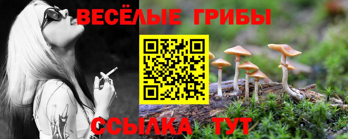 Псилоцибиновые грибы MAGIC MUSHROOMS Котовск