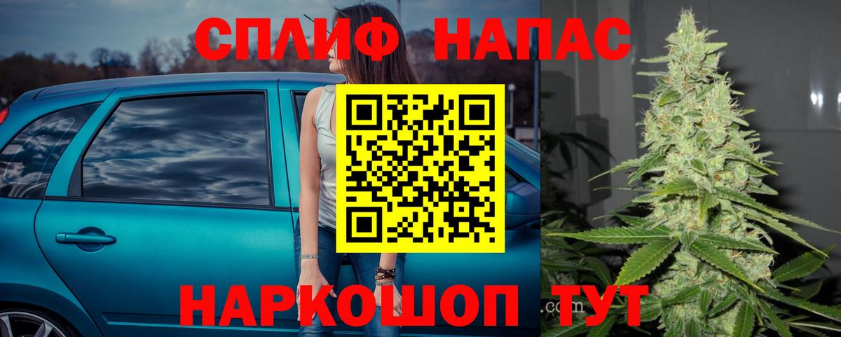 Котовск  Канабис OG Kush  Марихуана план  МАРИХУАНА сатива  Вход с VPN  Каннабис марихуана 